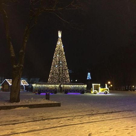 Lux Apartment Druskininkai Bagian luar foto