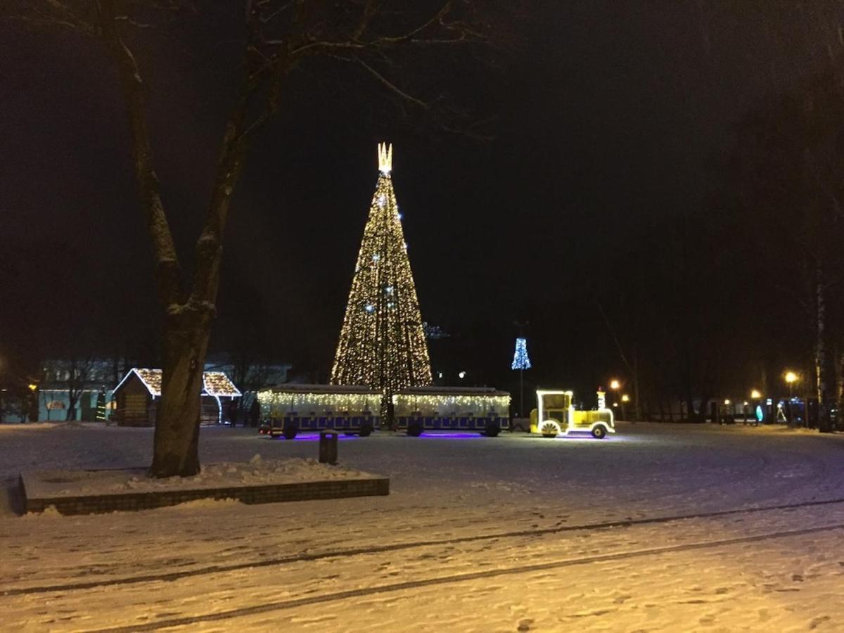 Lux Apartment Druskininkai Bagian luar foto