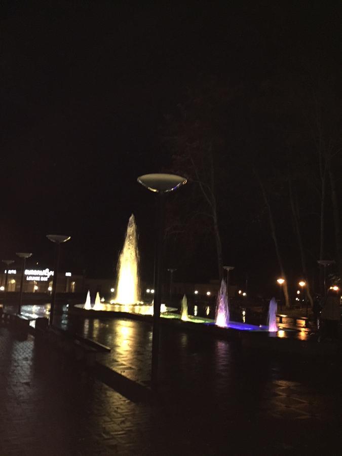 Lux Apartment Druskininkai Bagian luar foto