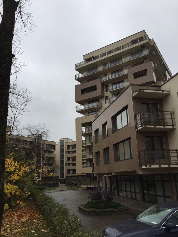Lux Apartment Druskininkai Bagian luar foto