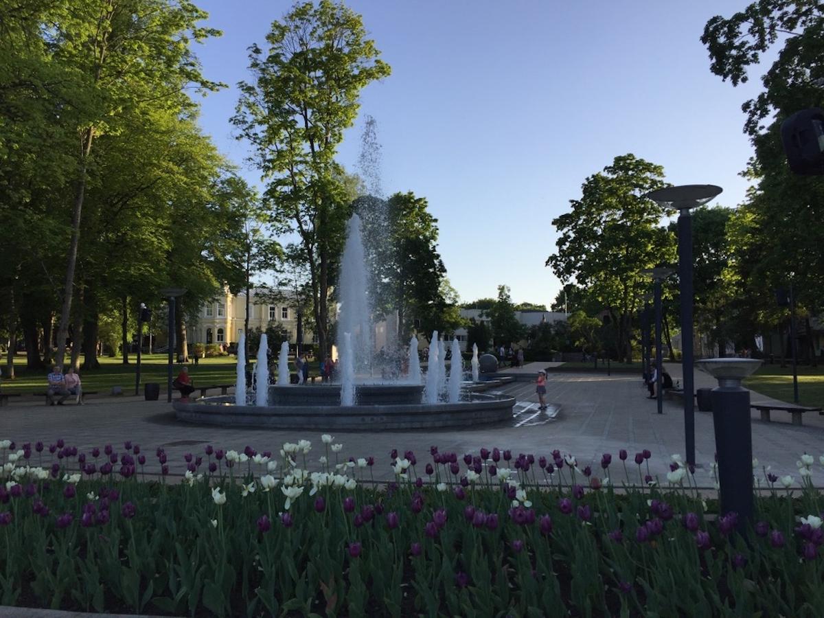 Lux Apartment Druskininkai Bagian luar foto