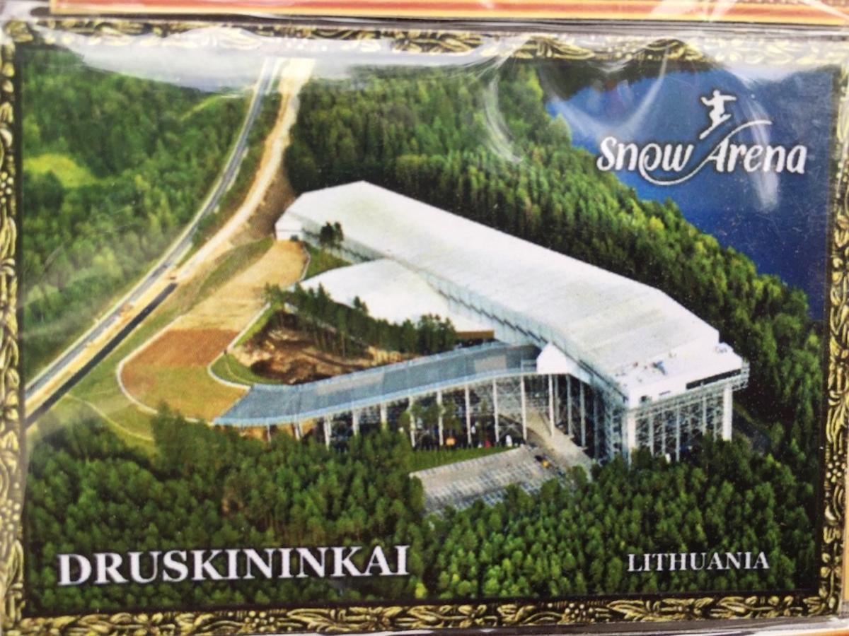 Lux Apartment Druskininkai Bagian luar foto